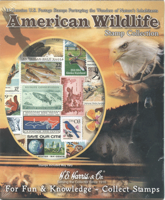 American Wildlife Collection