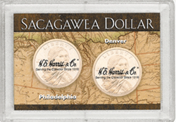 Sacagawea P&D Frosty Case