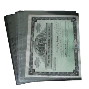 1 Pocket Archival Polyproplyene Pages, Clear