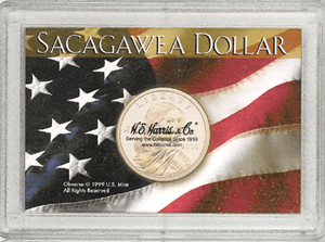 Sacagawea Frosty Case