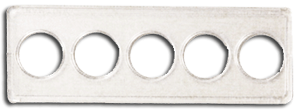 Whitman 2x6 State Quarter Strip 5 Hole -  (25 pack)